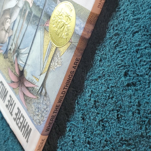 Where the Wild things are kids book - Picture 3 of 5